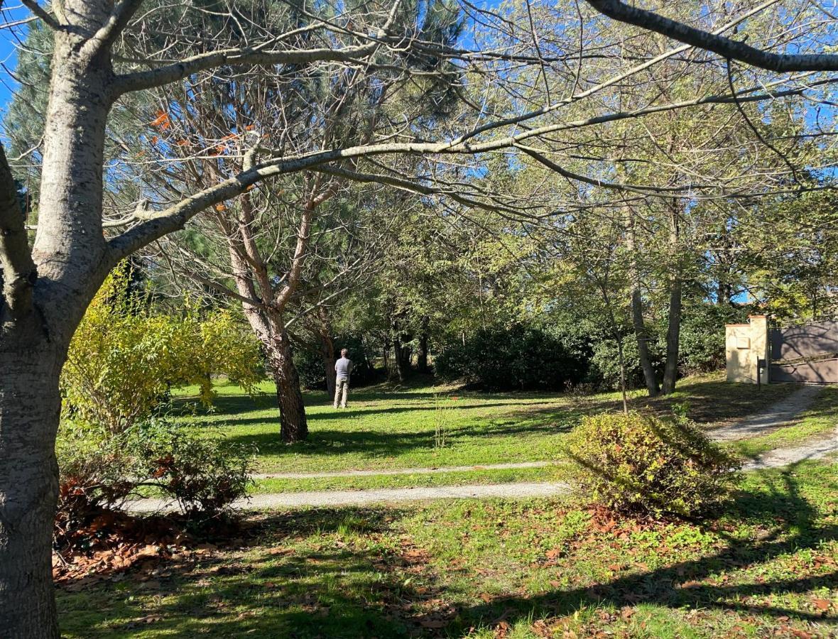 Borie Grande Villa Saint-Denis  Bagian luar foto